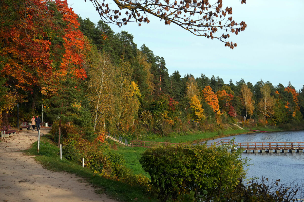 Foto: Edijs Pālens/LETA