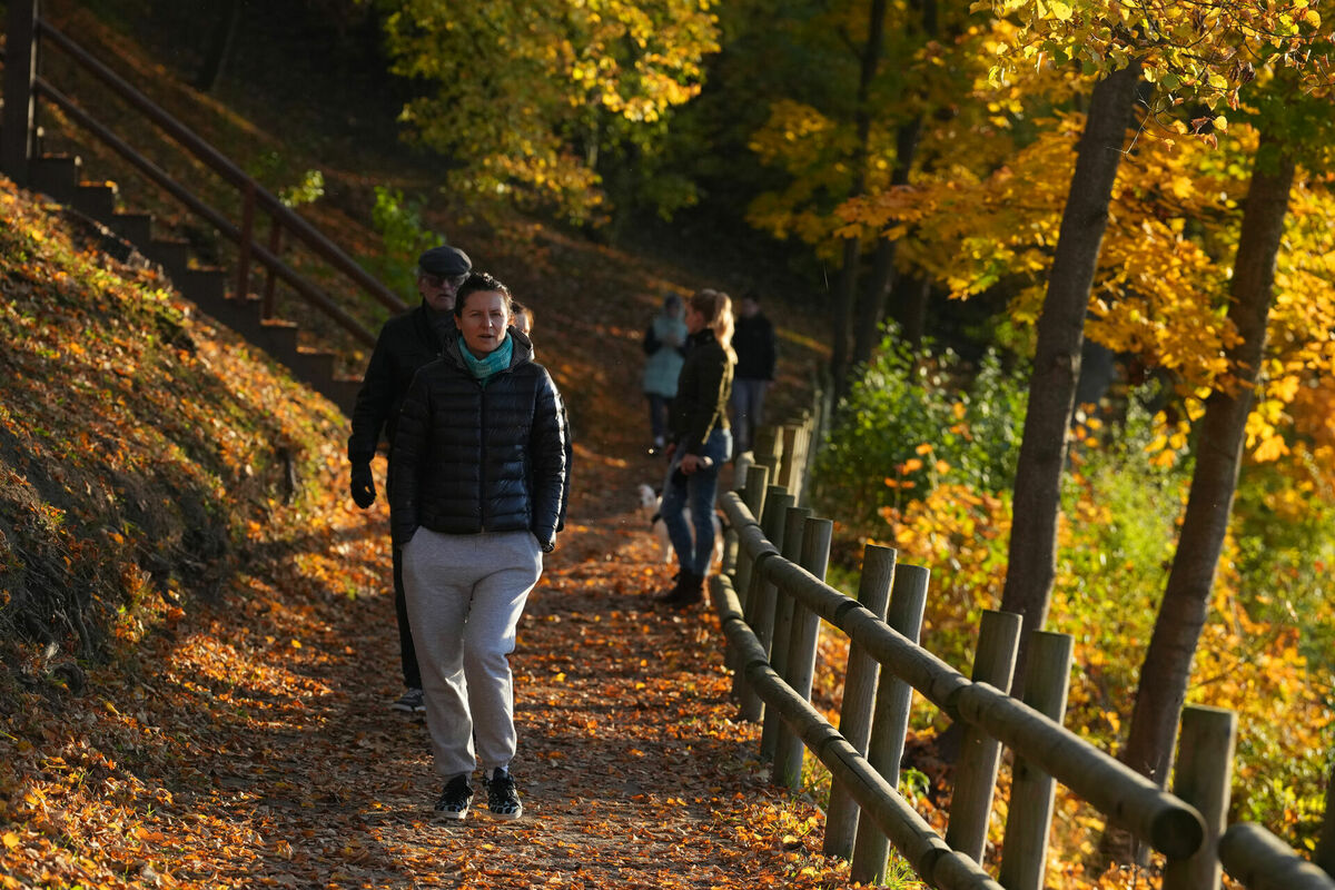 Rudens. Foto: Edijs Pālens/LETA