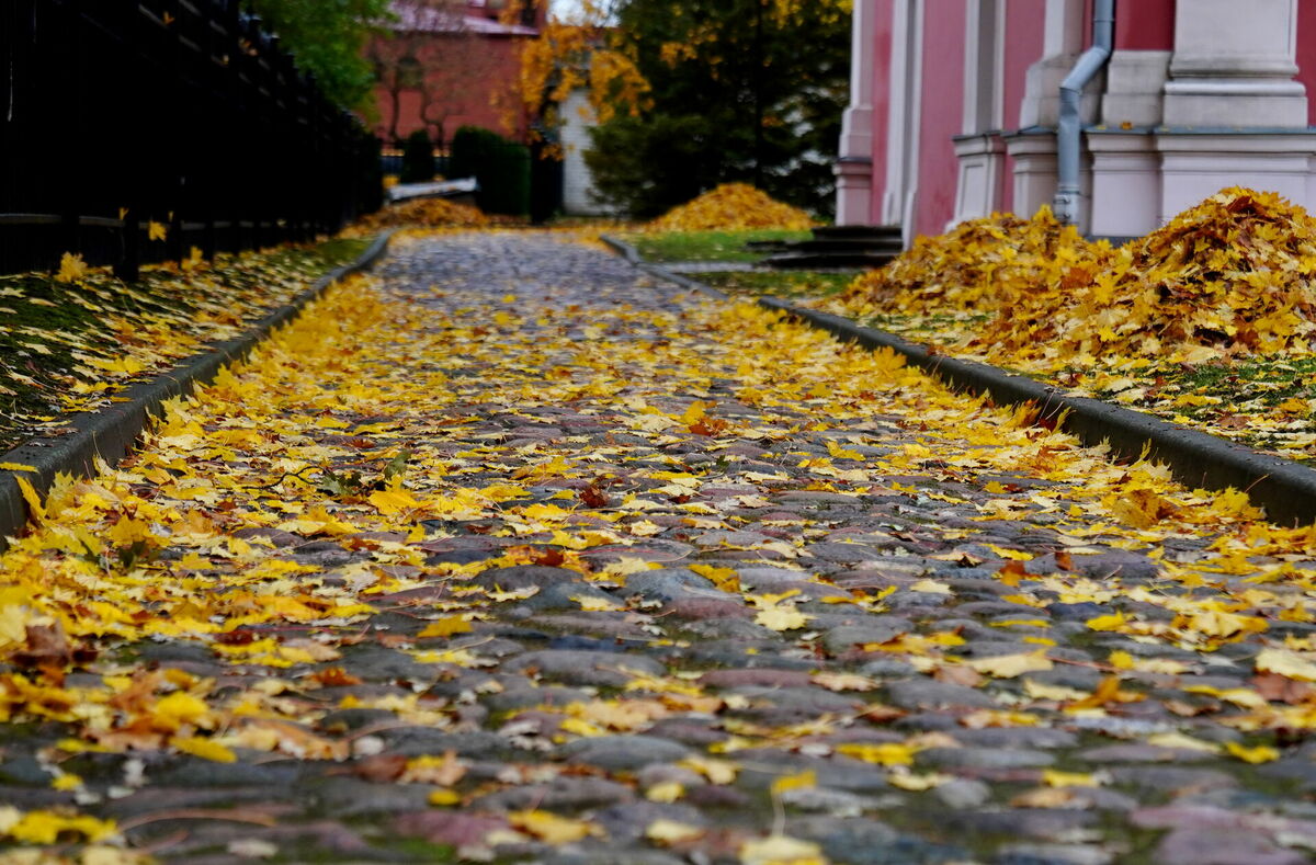 Jelgava. Foto: Zane Bitere/LETA