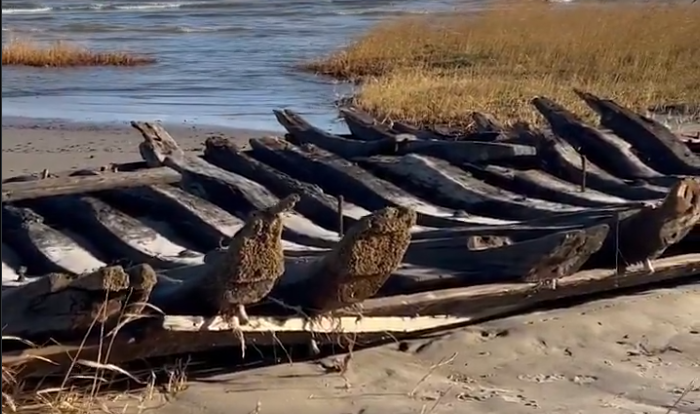 Mērsragā izskalotais kuģa vraks. Foto: Ekrānšāviņš no Latvijas Radio video/ "X"