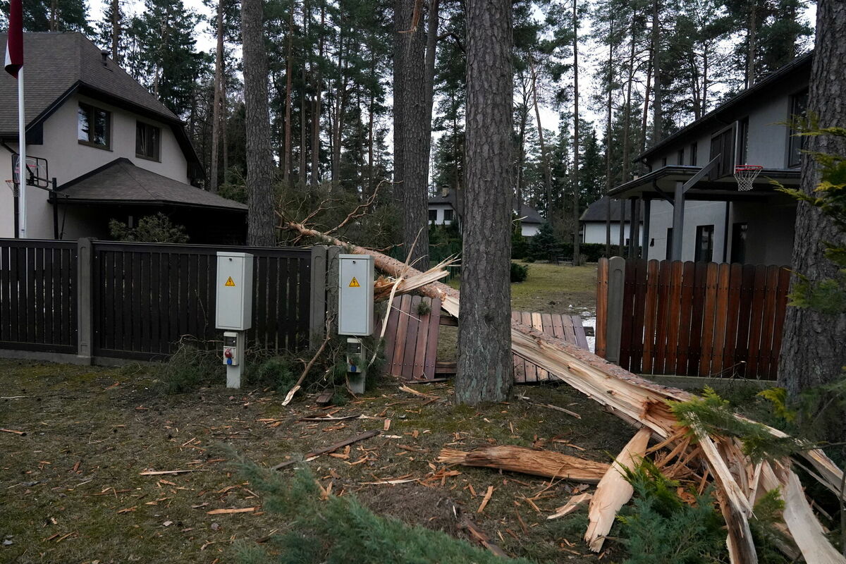 Stiprā vēja postījumi Ogrē. Foto: Edijs Pālens/LETA