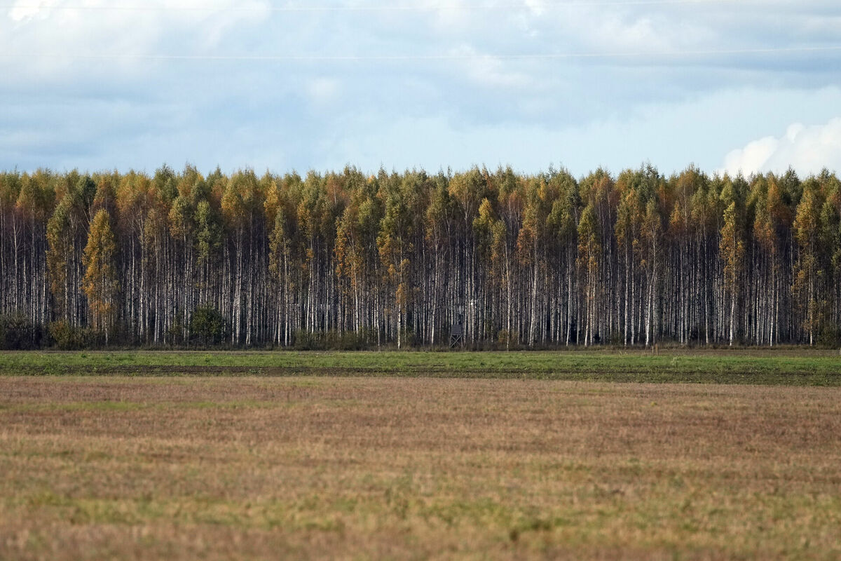 Foto: Edijs Pālens/LETA