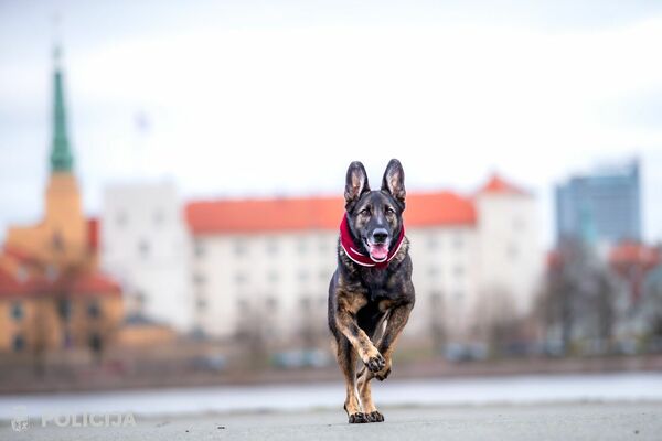 Foto: Dace Teibe/Valsts policija