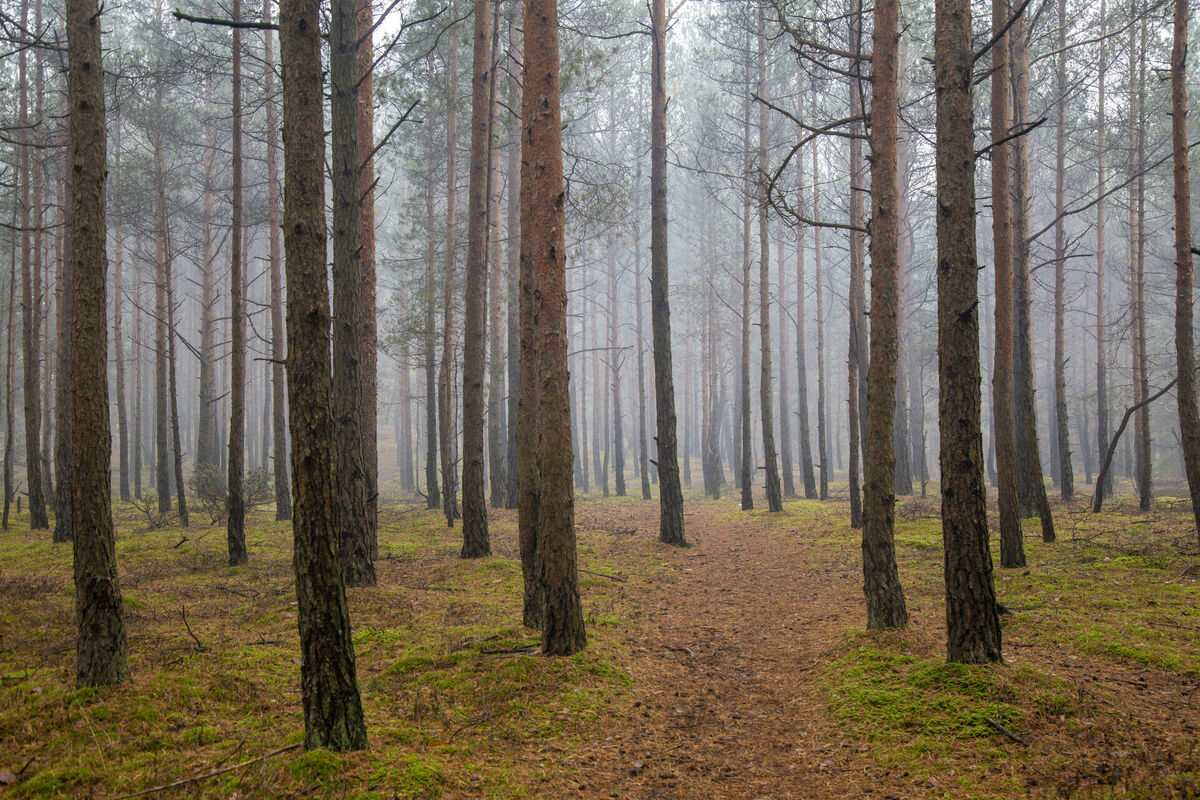 Foto: Edijs Pālens/LETA