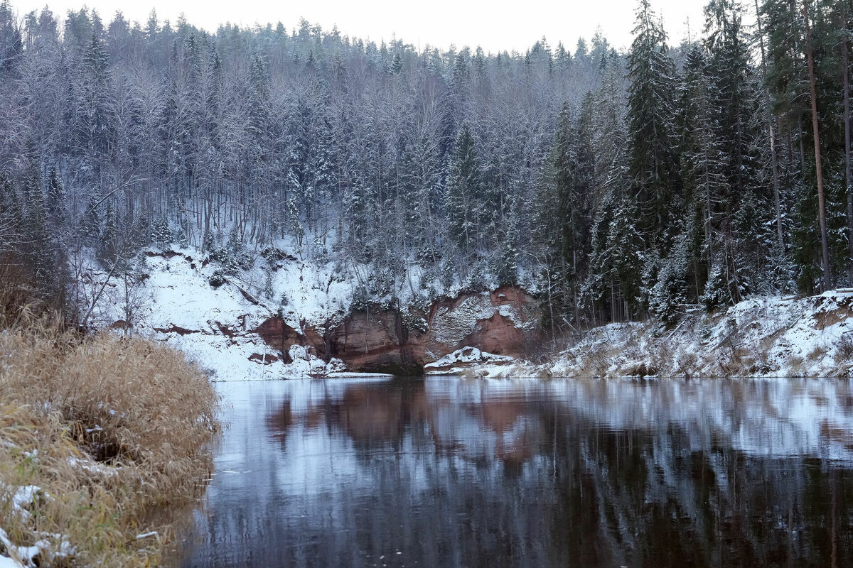 Foto: Edijs Pālens/LETA