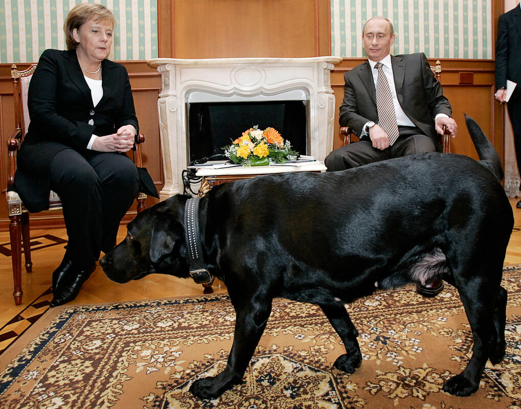 Angela Merkele, Vladimirs putins un viņa labradors. Foto: scanpix/DMITRY ASTAKHOV / ITAR-TASS / AFP