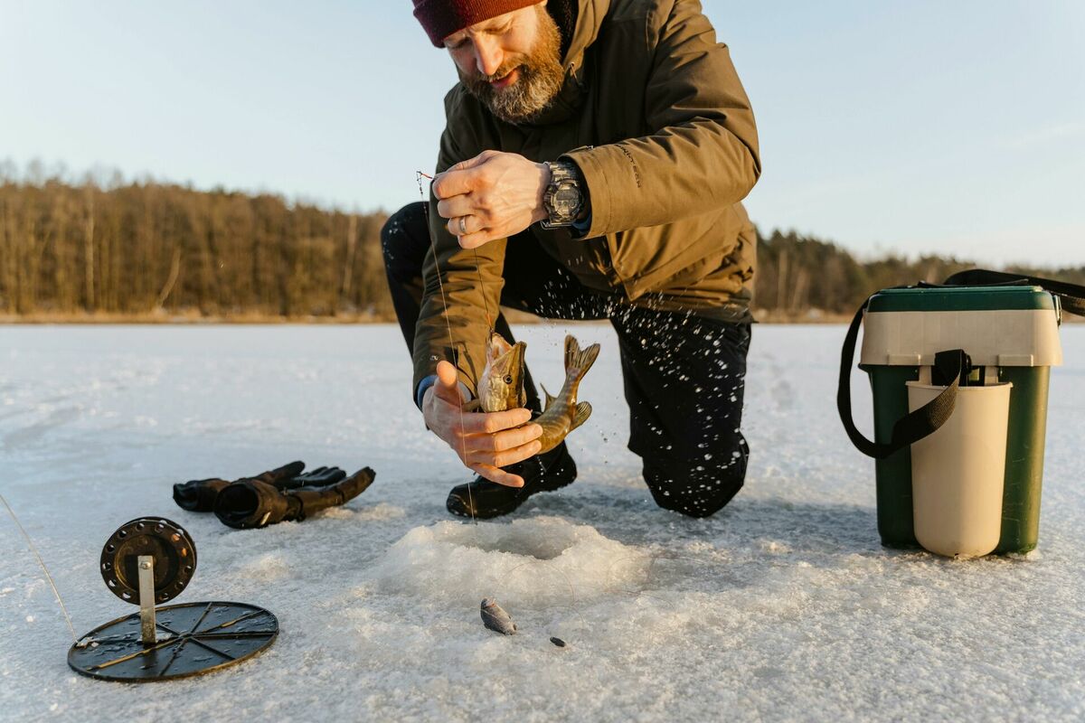 Foto: Tima Miroshnichenko, Pexels.com