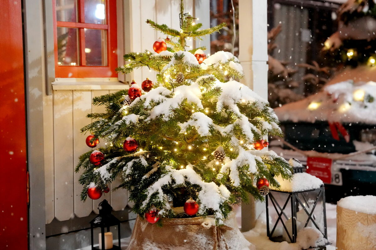 Ziemassvētku tirdziņš Doma laukumā. Foto: Zane Bitere/LETA