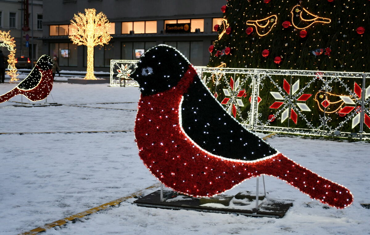 Ziemassvētku rotājumi Daugavpilī. Foto: Ivars Soikāns/LETA