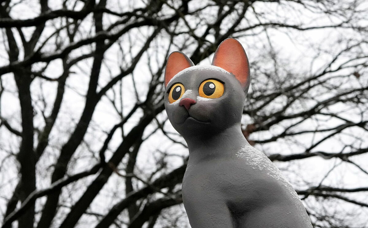 Foto: Edijs Pālens / LETA