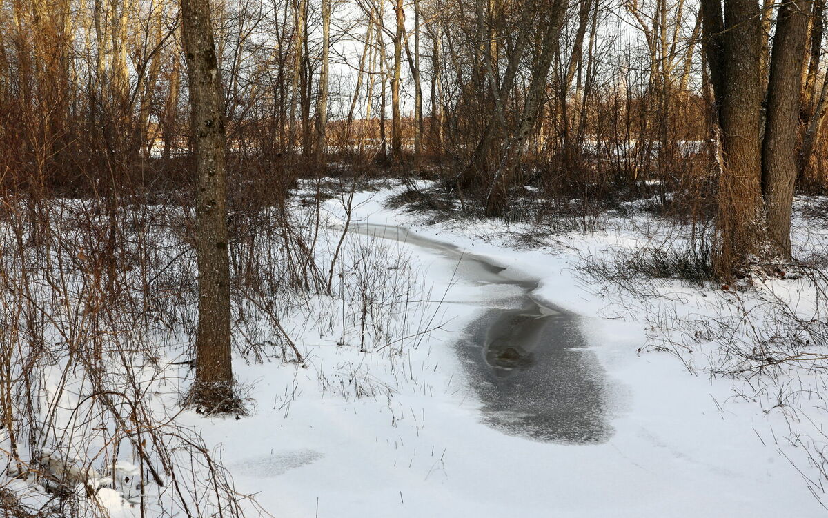 Foto: Evija Trifanova/LETA