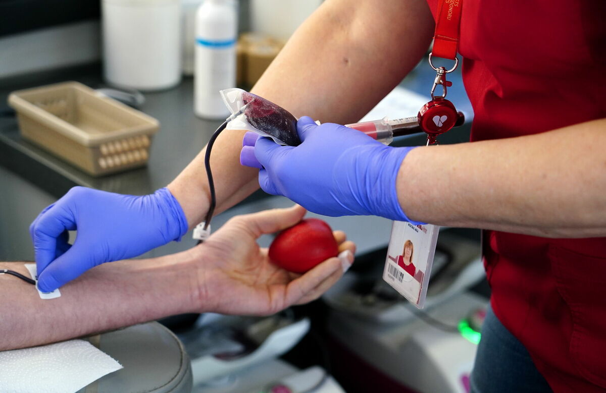 Asins nodošana. Foto: Paula Čurkste/LETA