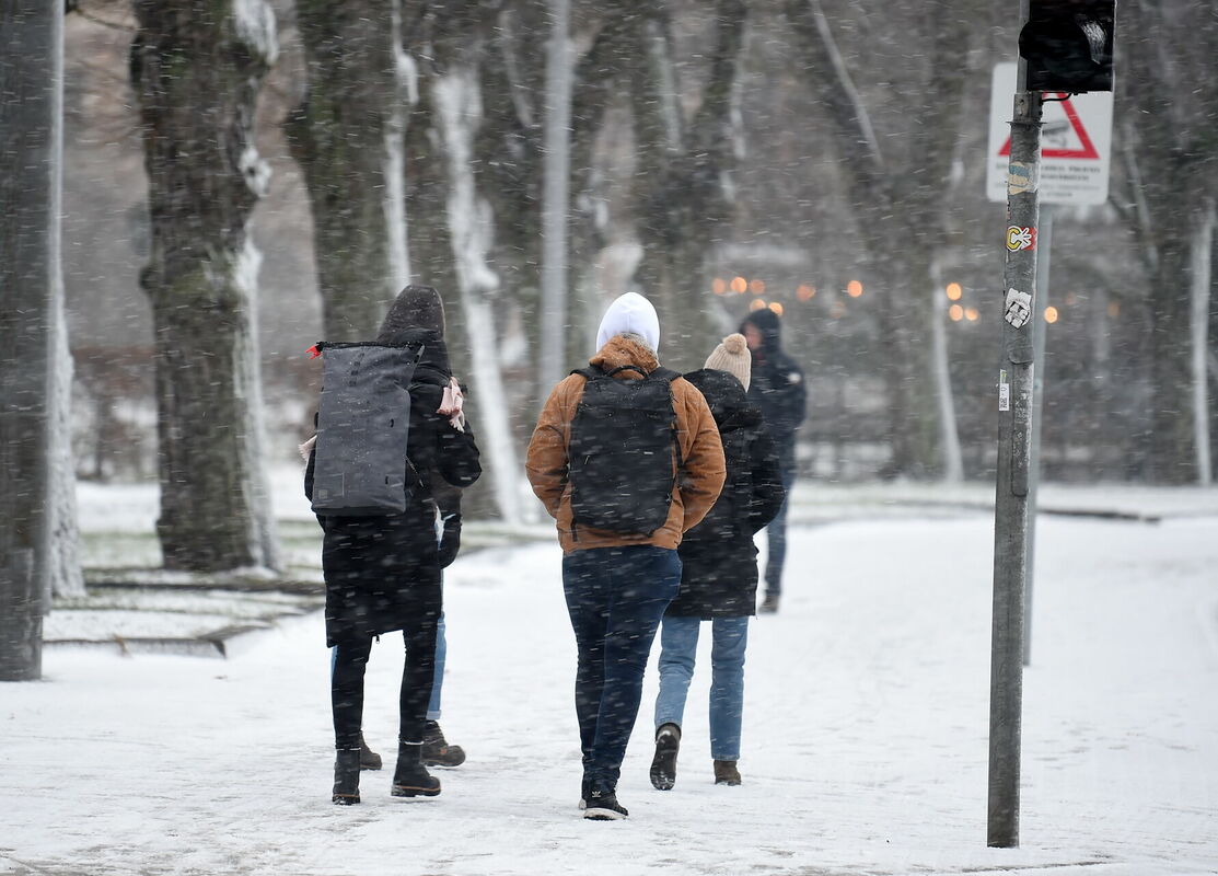 Attēls ilustratīvs. Foto: Zane Bitere/LETA