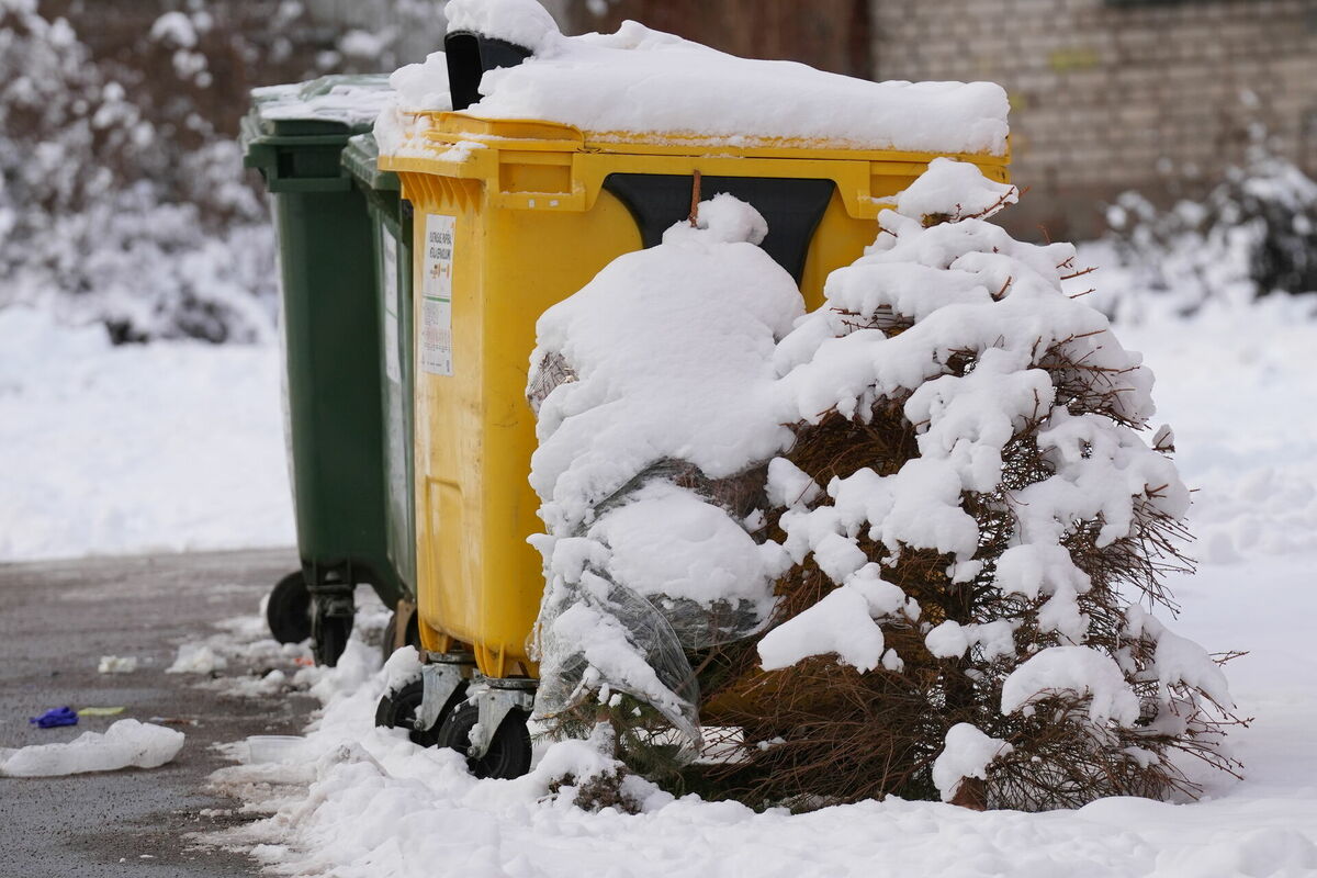 Ilustratīvs attēls. Foto: Evija Trifanova/LETA