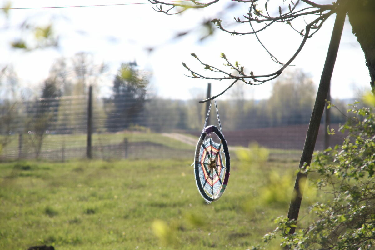 Foto: Maija Zara/LETA