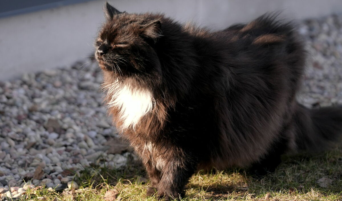 Foto: Evija Trifanova/LETA