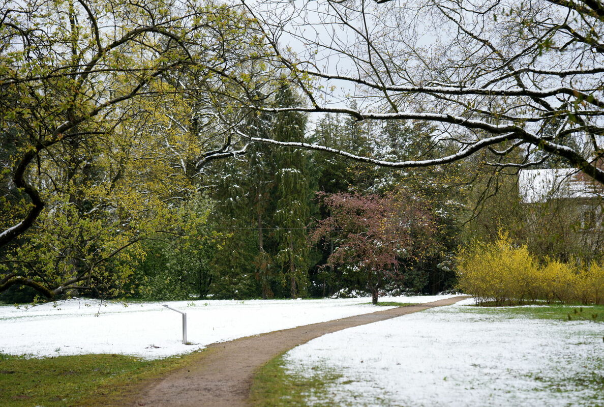 Foto: Zane Bitere/LETA