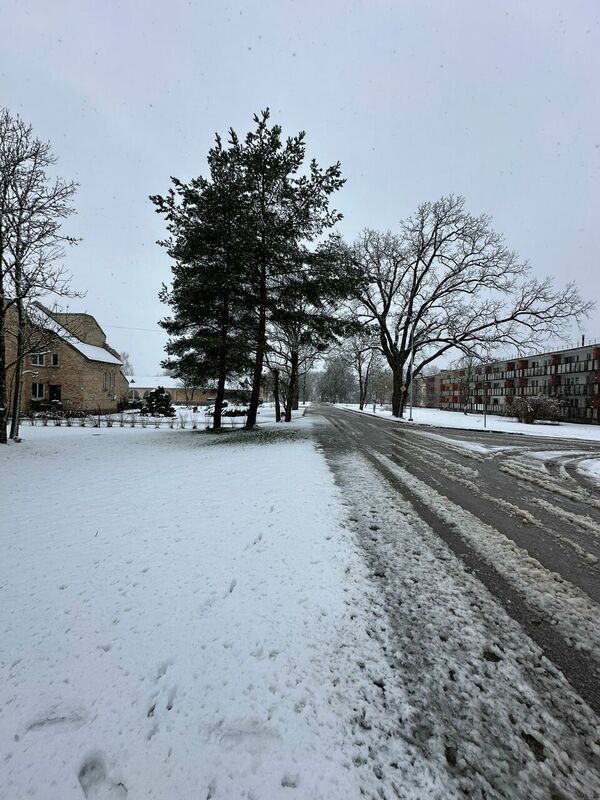 5. aprīlis Mūrmuižā. Foto: 1188.lv