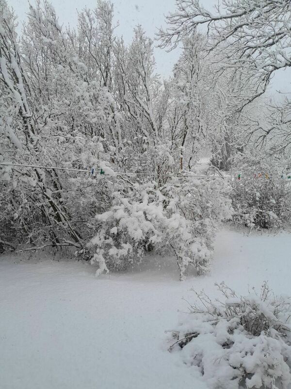 5. aprīlis Cēsīs. Foto: 1188.lv