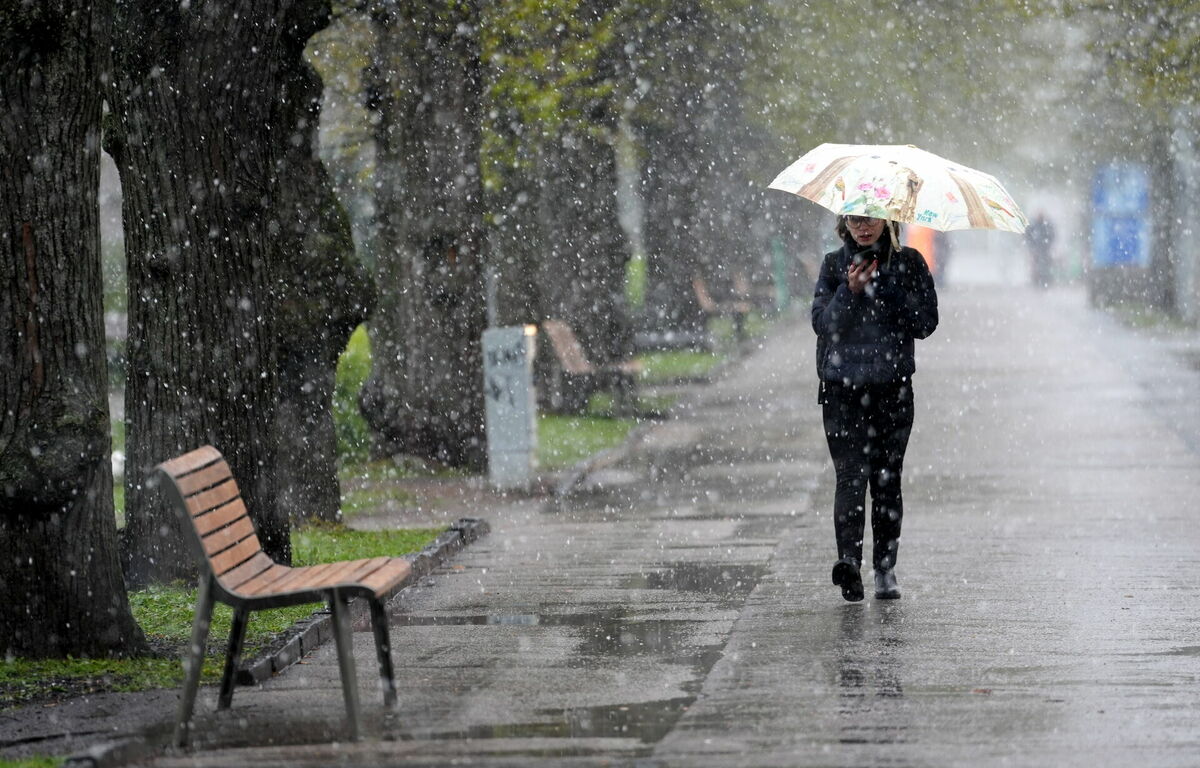 Sniegs. Foto: Zane Bitere/LETA