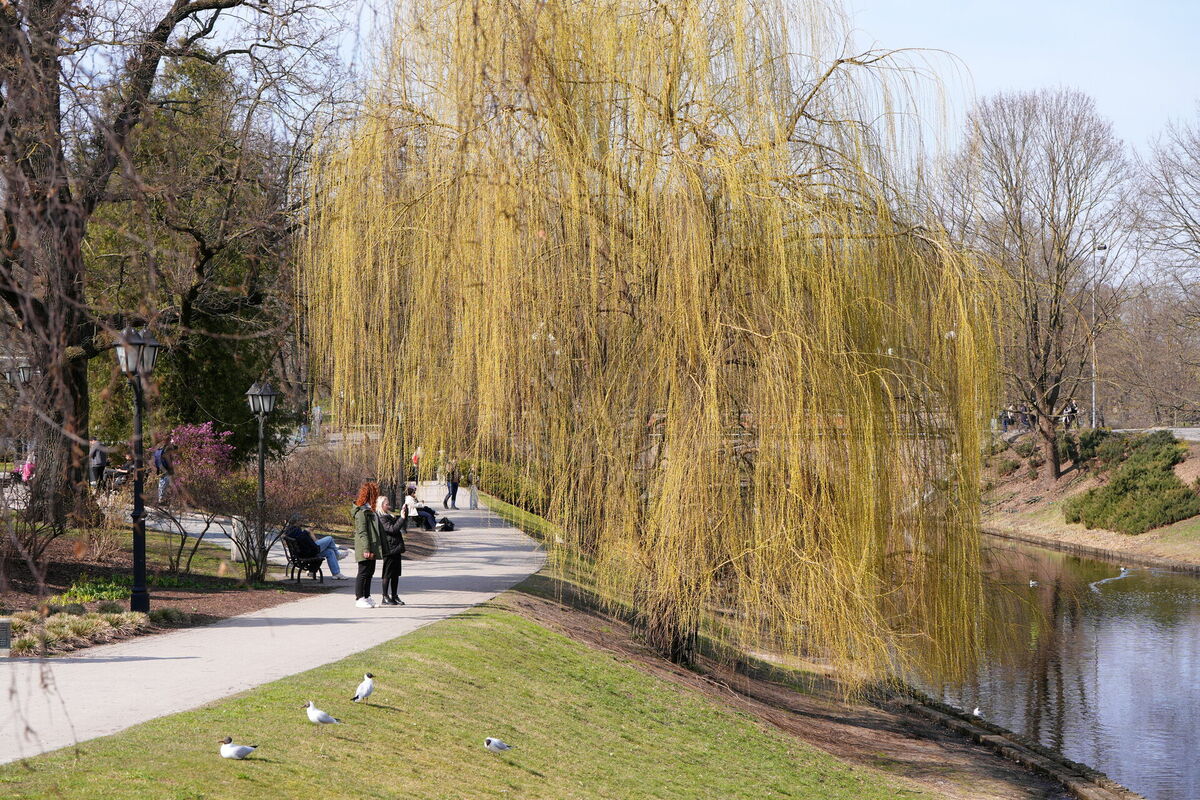 Pilsētas kanāls. Foto: Evija Trifanova/LETA