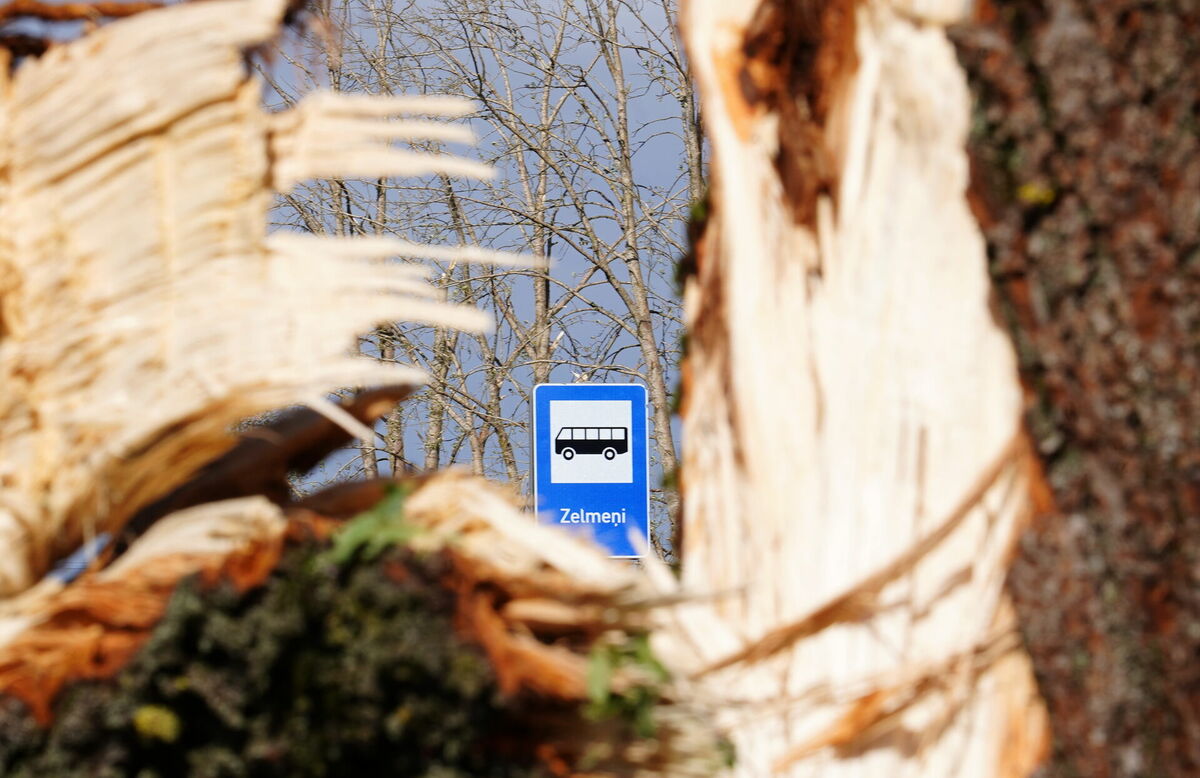 Attēls ilustratīvs. Foto: Evija Trifanova/LETA