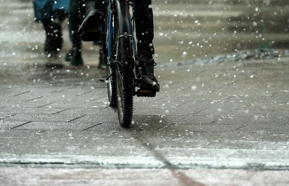 Velosipēds sniegputeņa laikā. Foto: Lita Millere/LETA