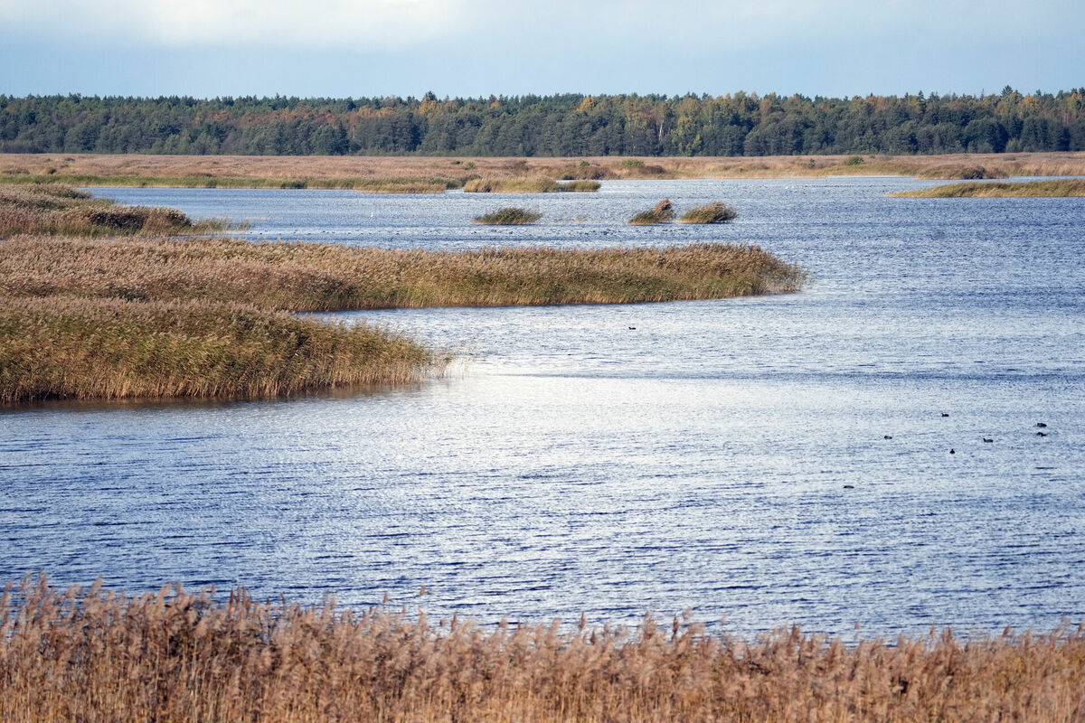Kaņiera ezers. Foto: Edijs Pālens/LETA