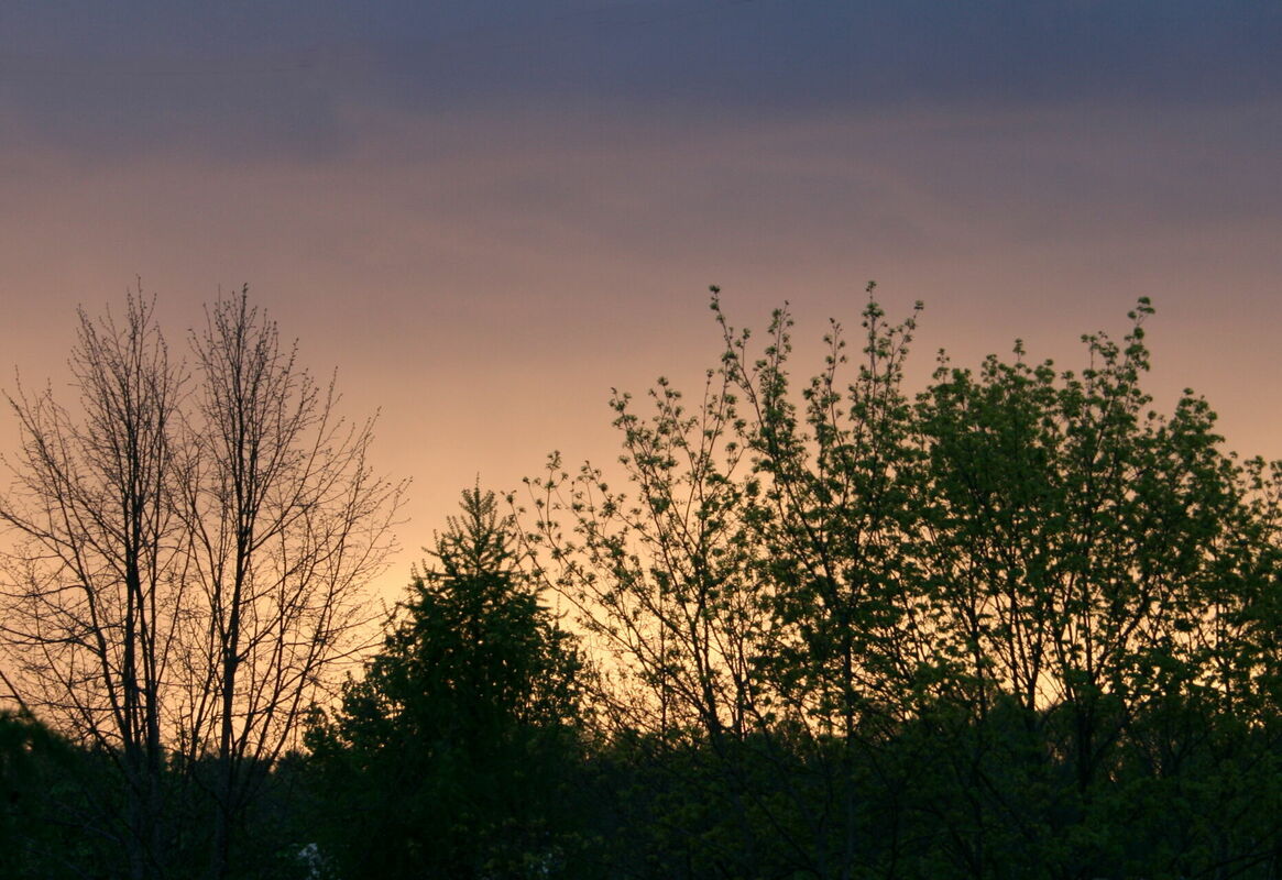 Foto: Rebeka Žeire/LETA