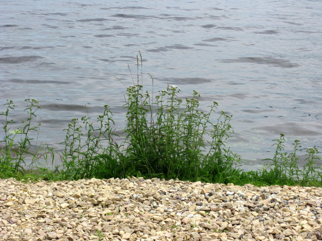 Foto: Jānis Skruzis/LETA