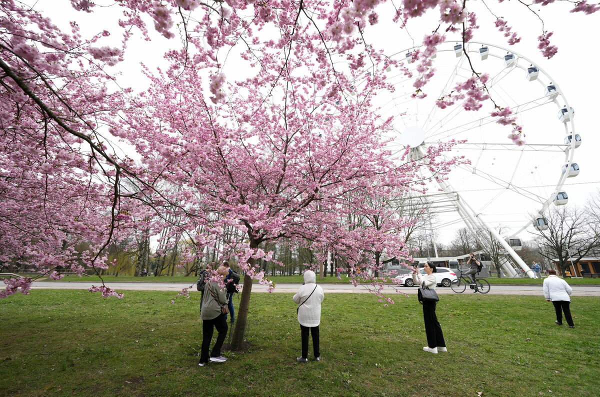 Foto: Evija Trifanova/LETA