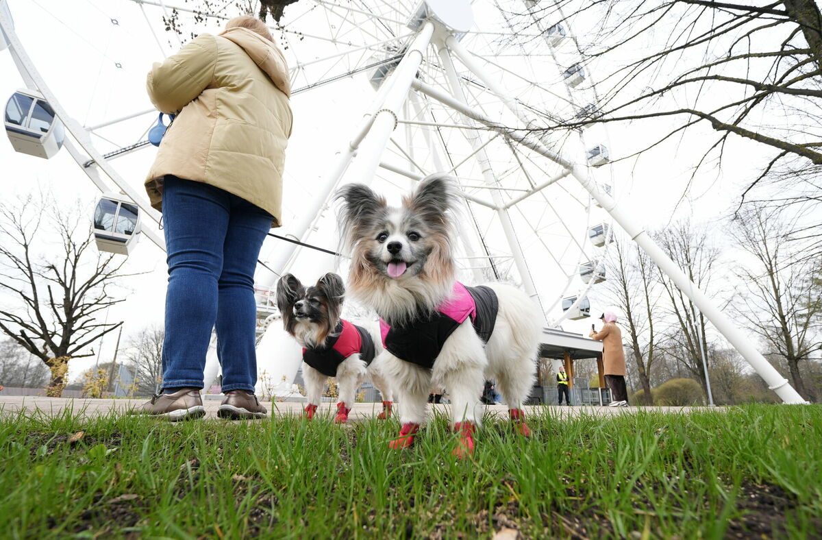 Foto: Evija Trifanova/LETA