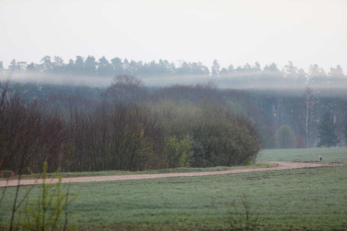 Foto: Evija Trifanova/LETA