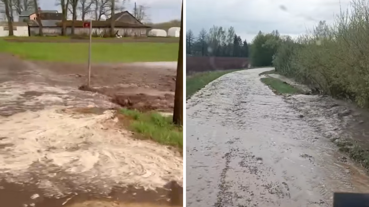 Foto: Ekrānšāviņi no video/ facebook/TomsBricisLTVLaikaZinas