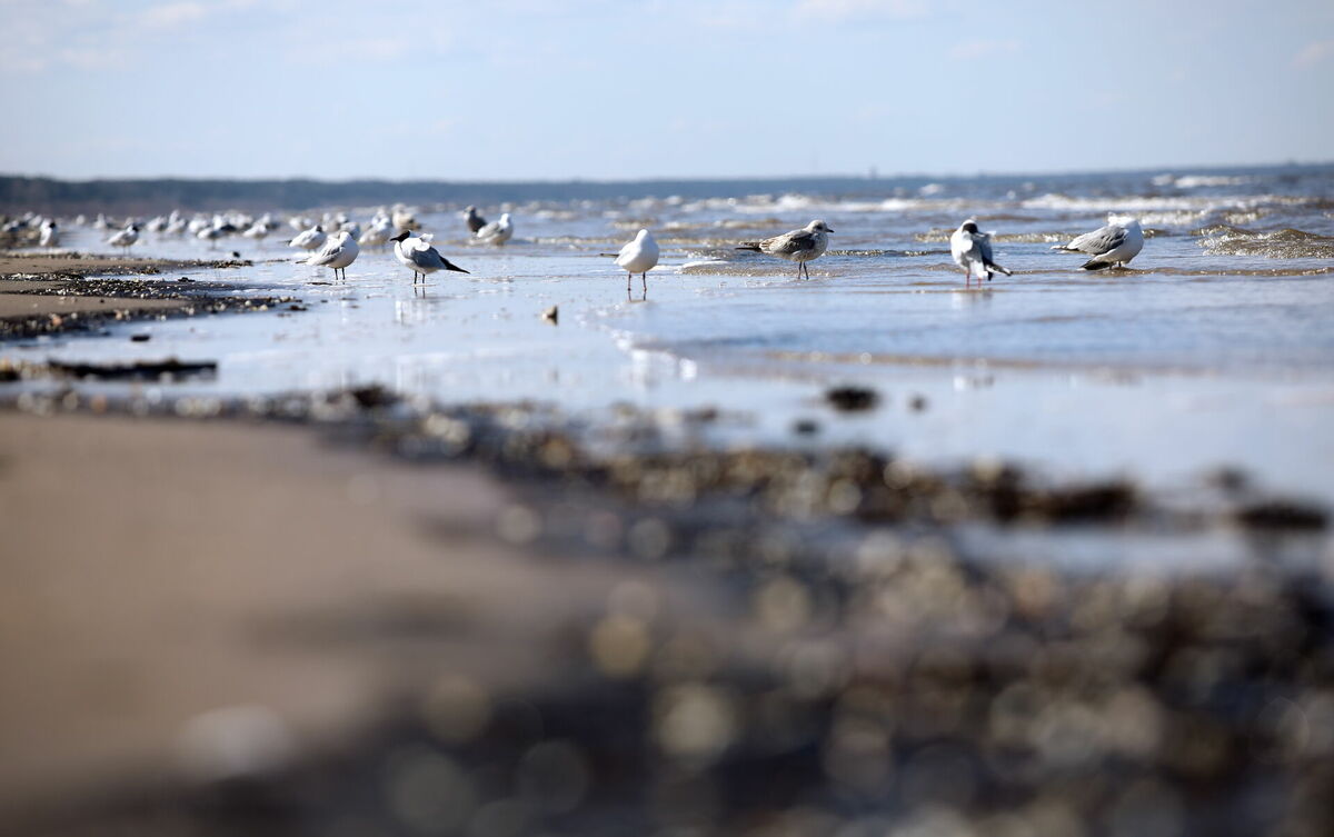 Foto: Ieva Leiniša/LETA