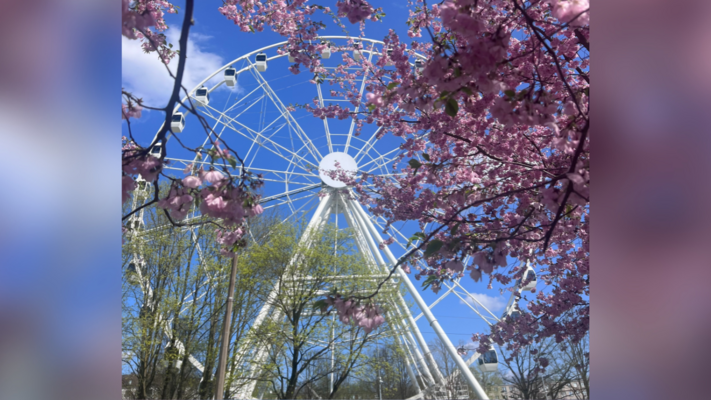 Rīgas panorāmas rats. Foto: 1188.lv