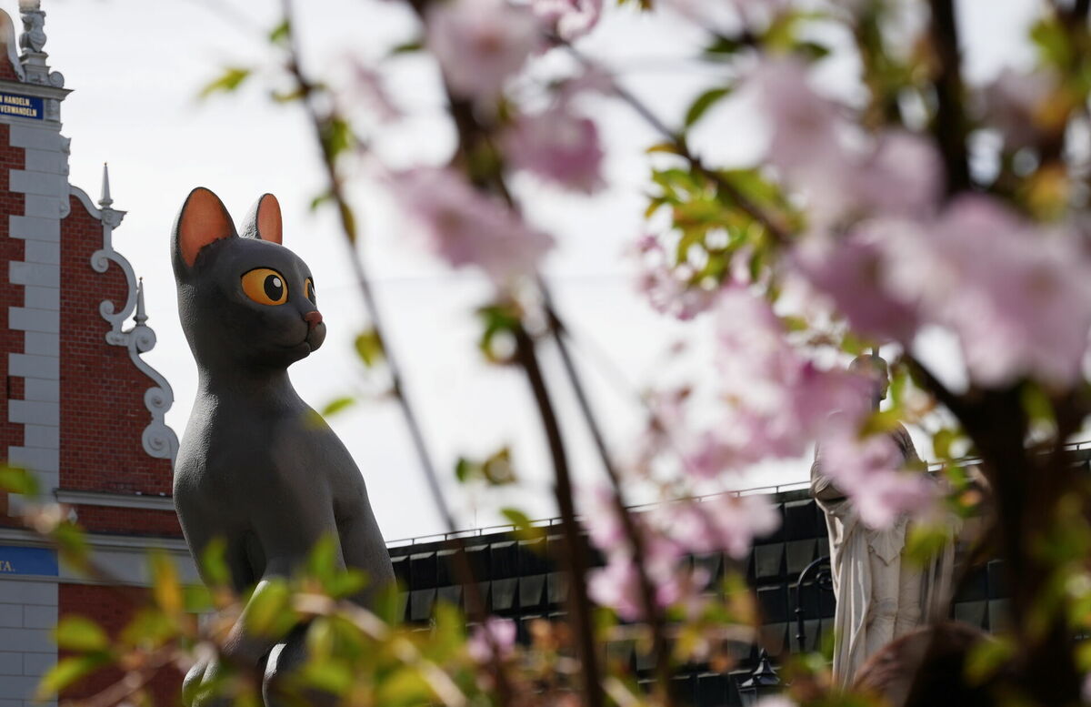 Foto: Evija Trifanova/LETA