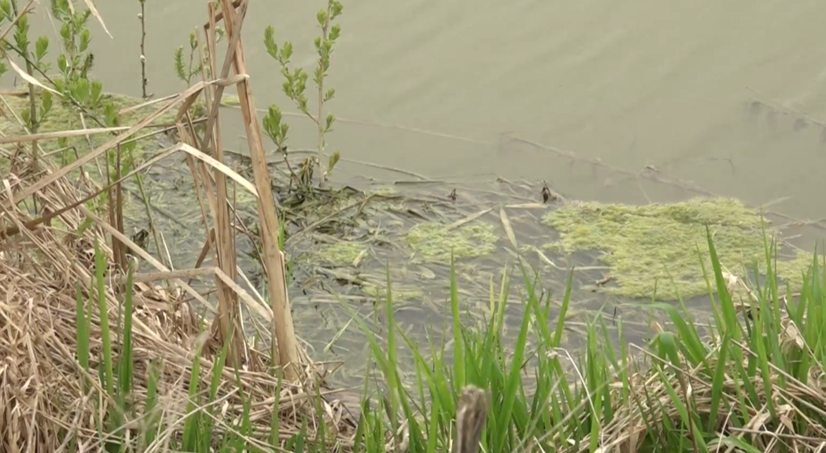 Foto: "360 Ziņneši"