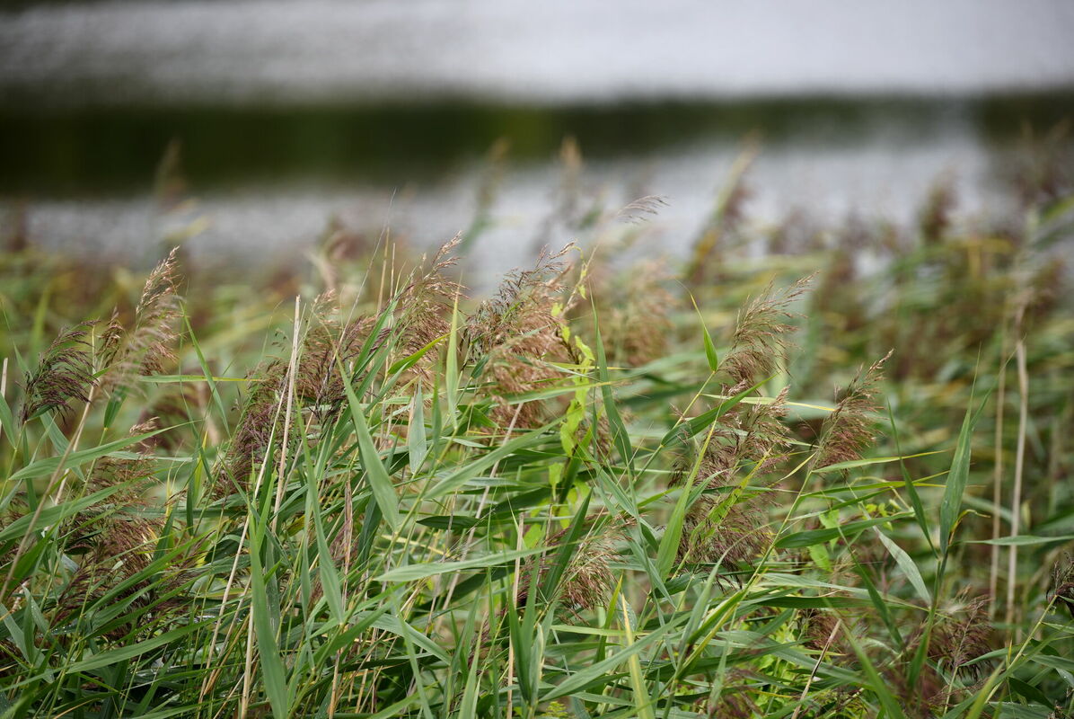 Foto: Zane Bitere/LETA