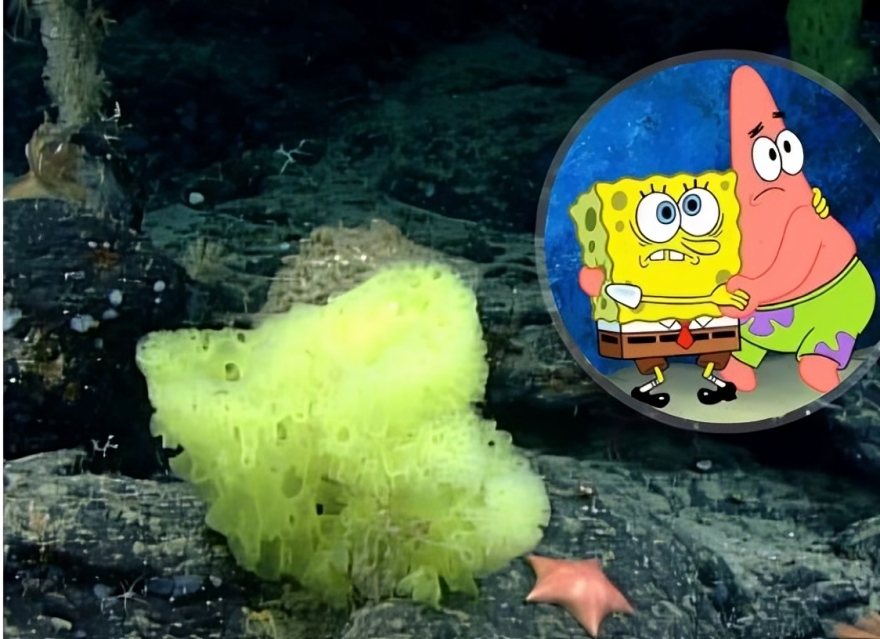 technology/Instagram