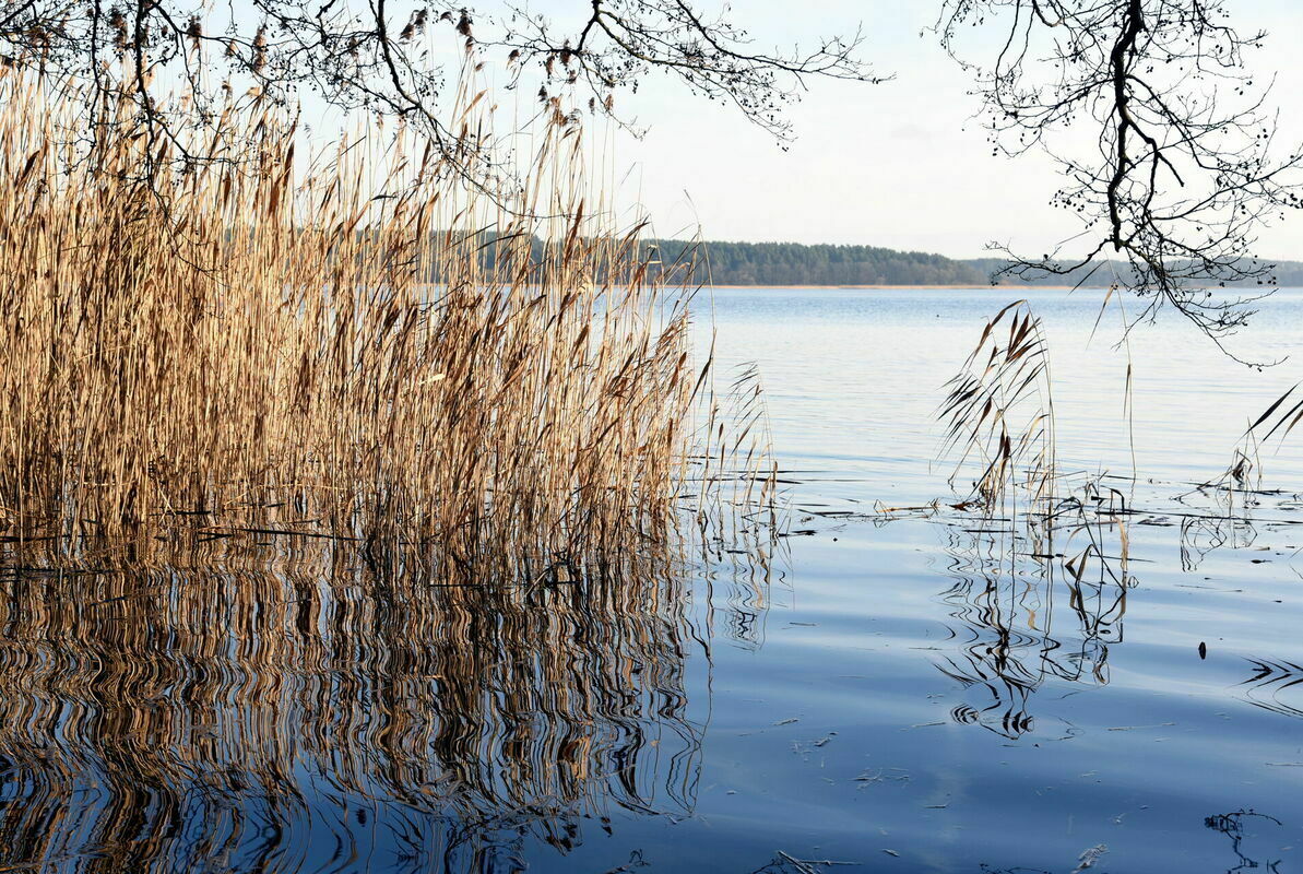 Ezers. Foto: Zane Bitere/LETA