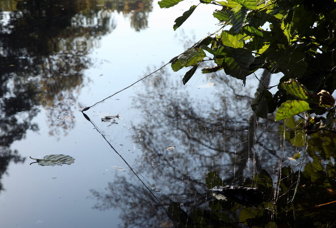 Foto: Ieva Čīka/LETA