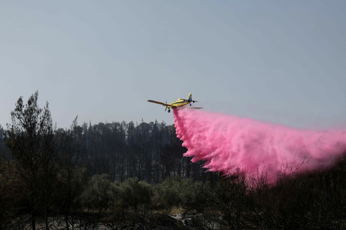 Lidmašīna cenšas novērst ugunsgrēkus Izraēlā. Foto: Ahmad GHARABLI / AFP / Scanpix