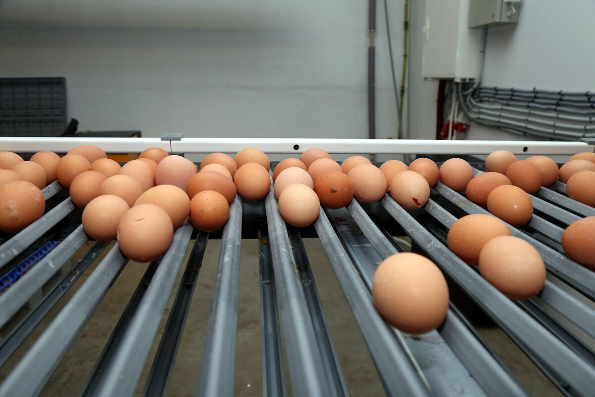 Ilustratīvs attēls. Foto: Edijs Pālens/LETA