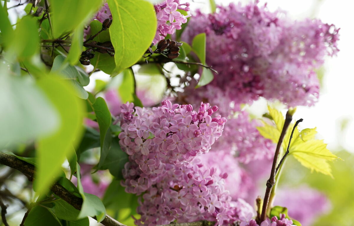 Foto: Zane Bitere/LETA