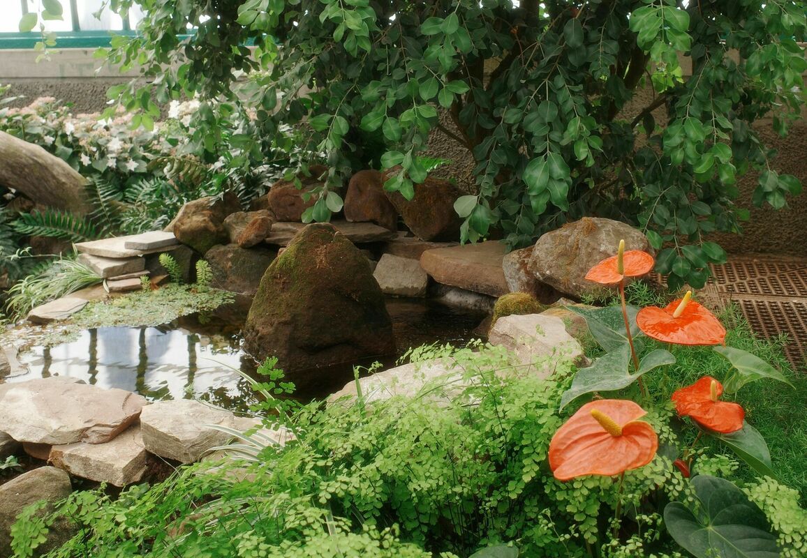 Ilustratīvs attēls. Foto: Pexels