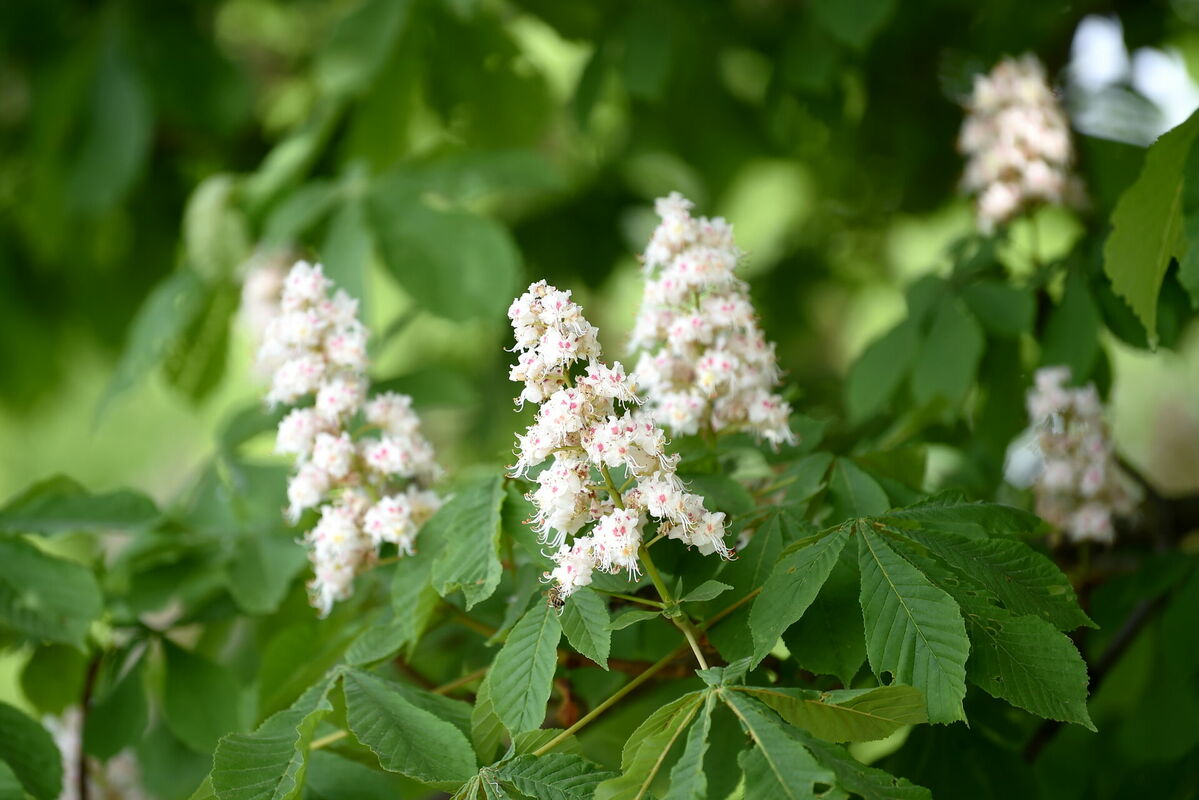 Foto: Zane Bitere/LETA