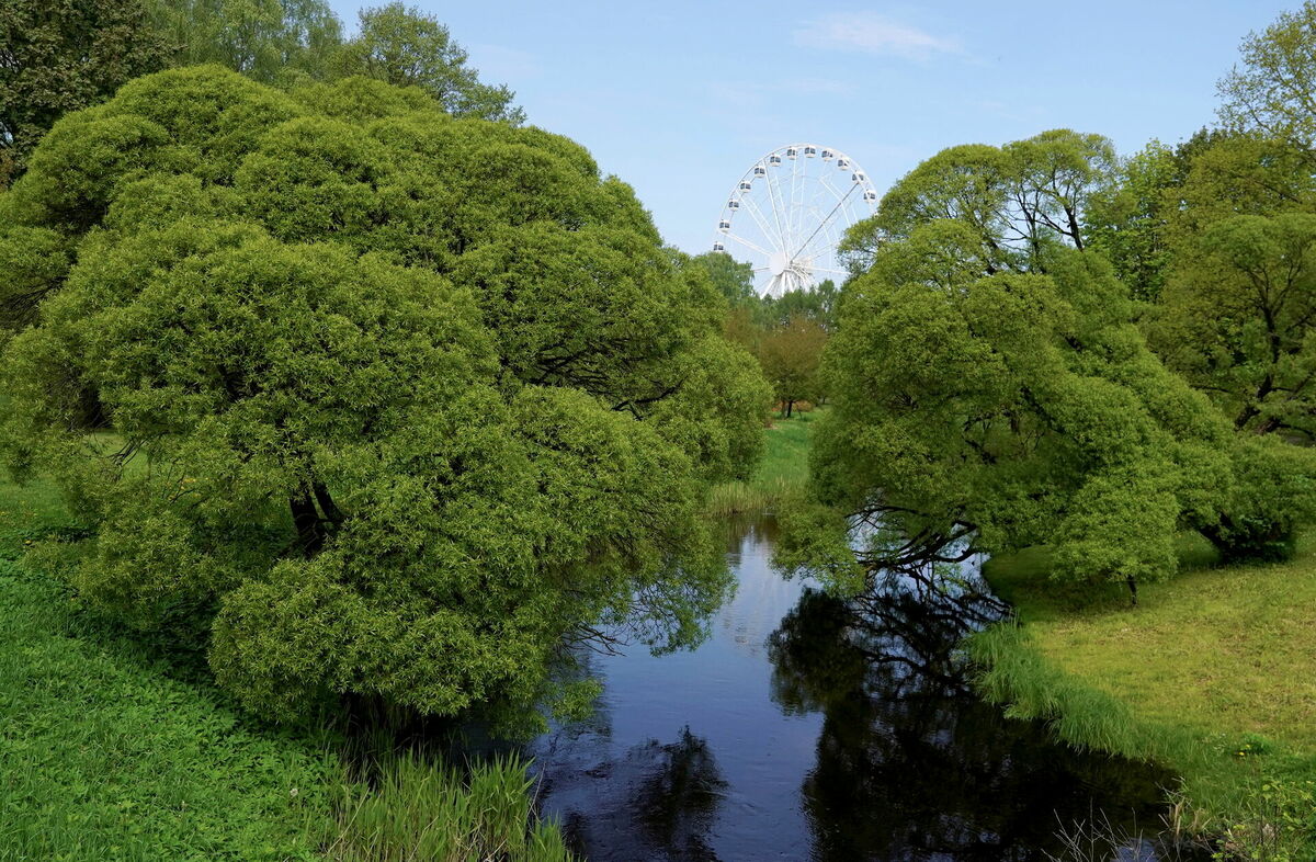 Foto: Zane Bitere/LETA