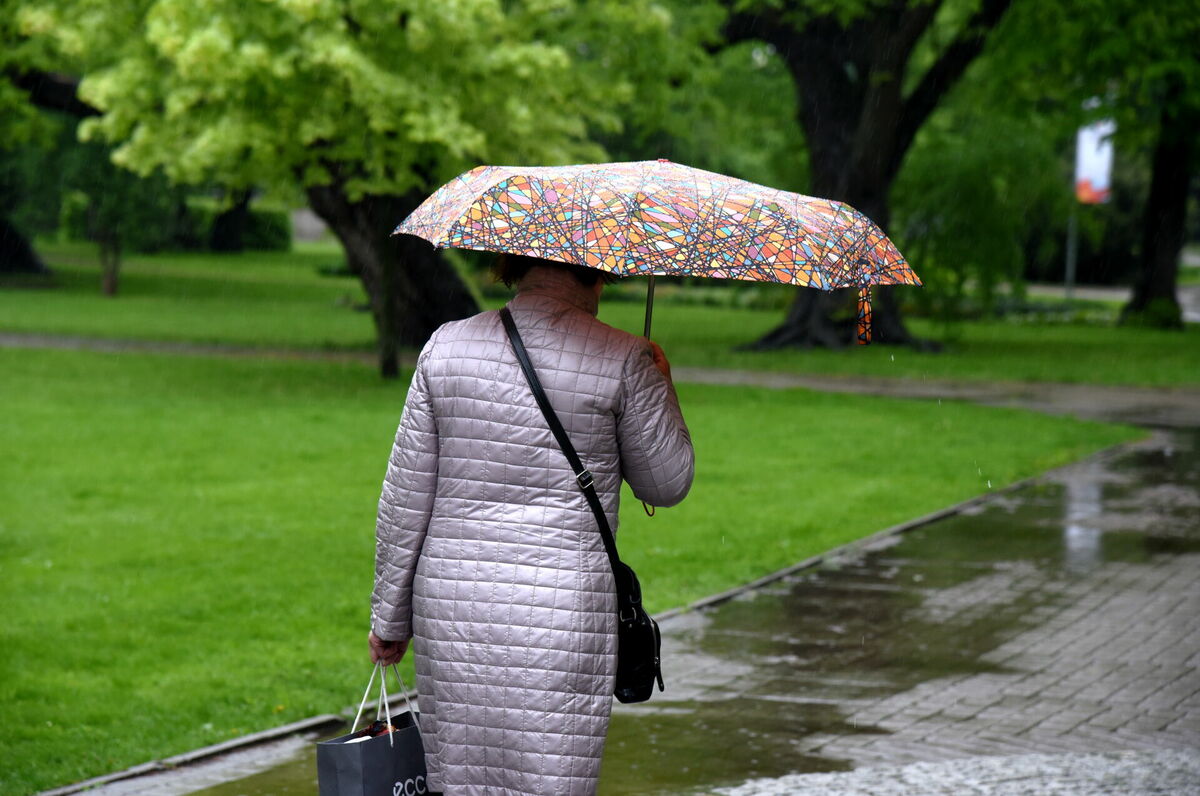 Foto: Zane Bitere/LETA