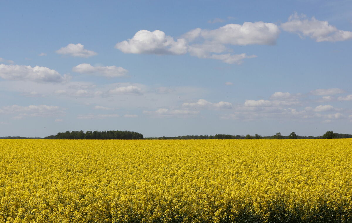 Foto: Evija Trifanova/LETA